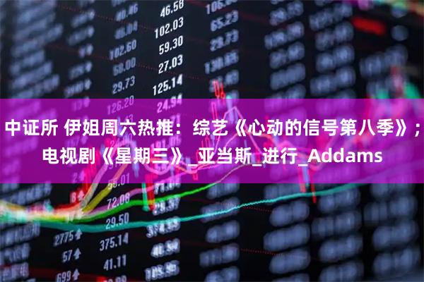 中证所 伊姐周六热推：综艺《心动的信号第八季》；电视剧《星期三》_亚当斯_进行_Addams