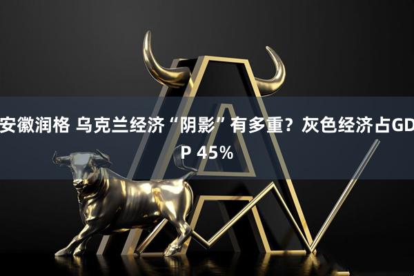 安徽润格 乌克兰经济“阴影”有多重？灰色经济占GDP 45%