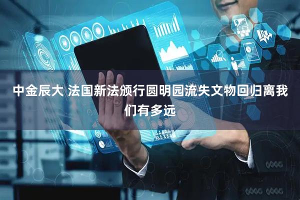 中金辰大 法国新法颁行圆明园流失文物回归离我们有多远